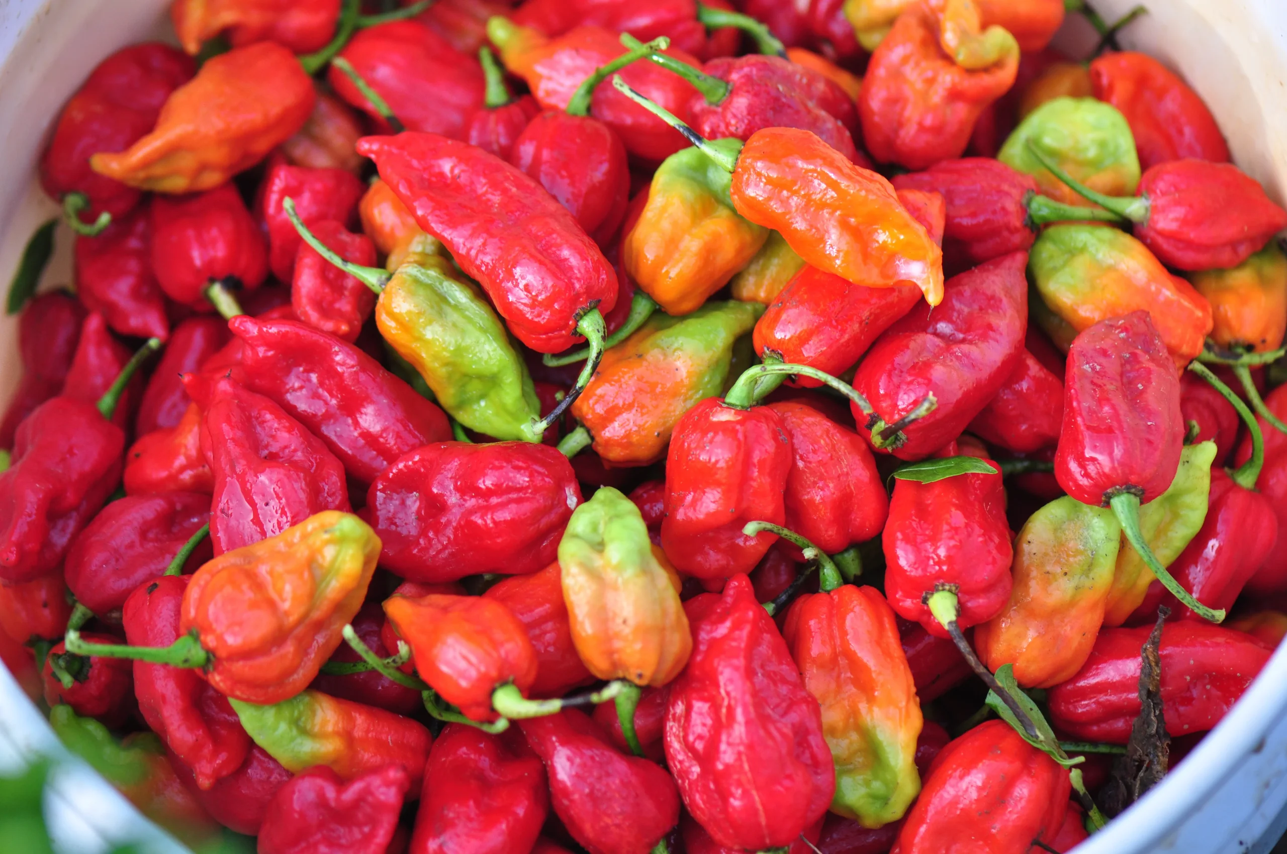 peppers